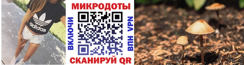 Псилоцибиновые грибы Magic Shrooms Ессентукская